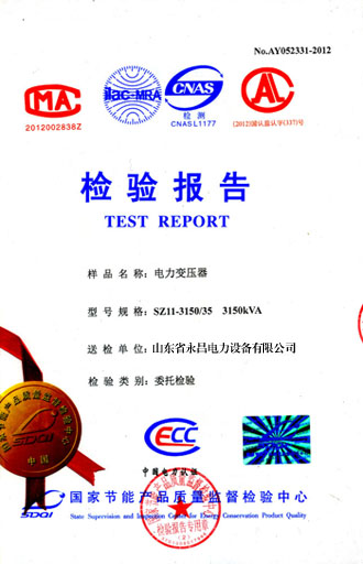 西双版纳电力变压器检测报告